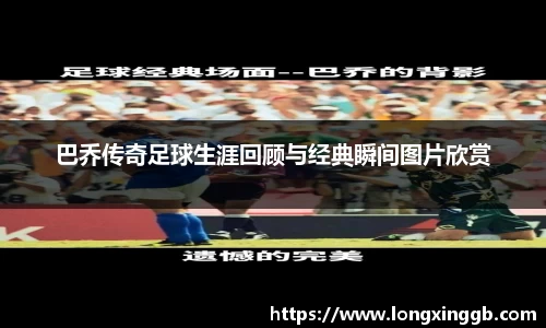 jn江南·体育登录入口